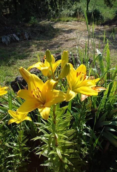 Agriturismo Tre Madonne มอนเตริจโจนี ห้อง รูปภาพ