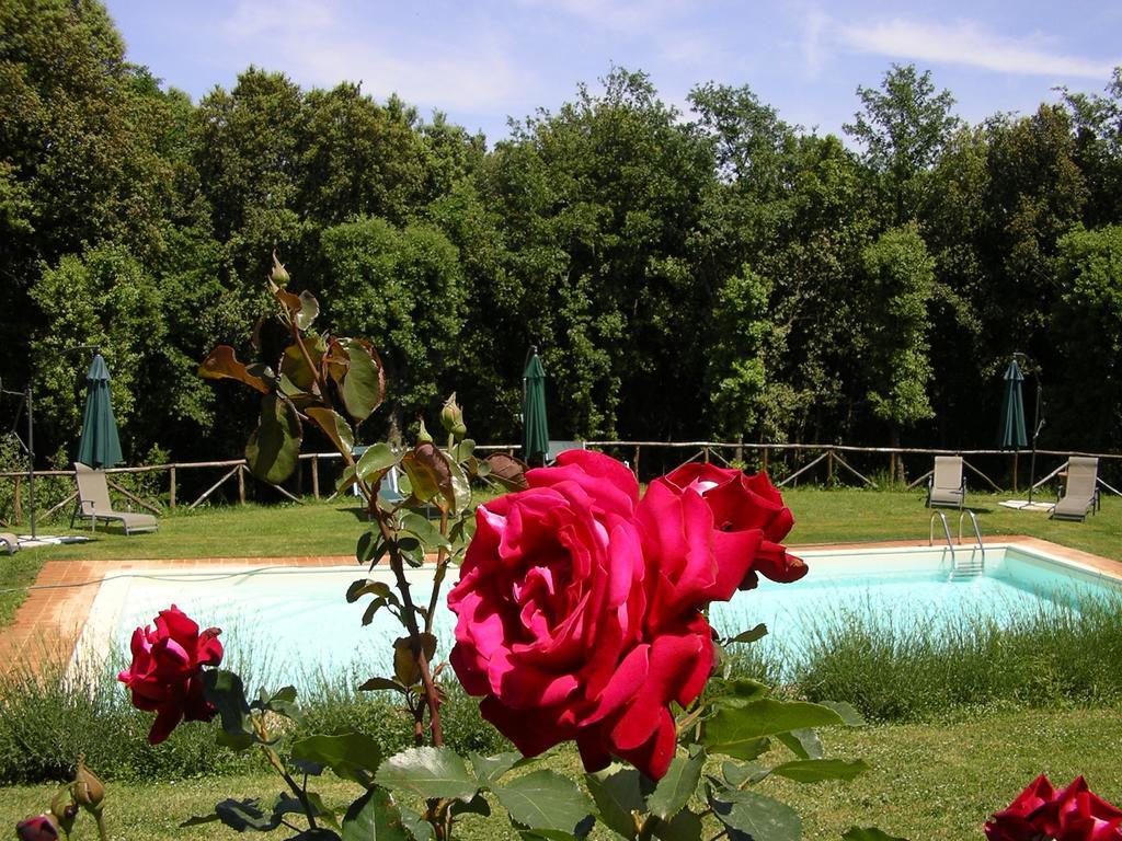 Agriturismo Tre Madonne มอนเตริจโจนี ภายนอก รูปภาพ