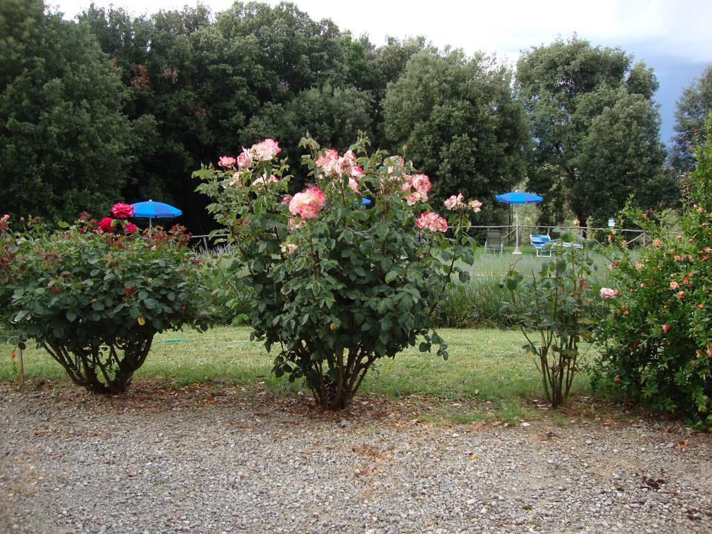 Agriturismo Tre Madonne มอนเตริจโจนี ห้อง รูปภาพ