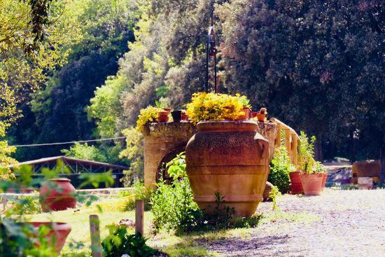 Agriturismo Tre Madonne มอนเตริจโจนี ภายนอก รูปภาพ