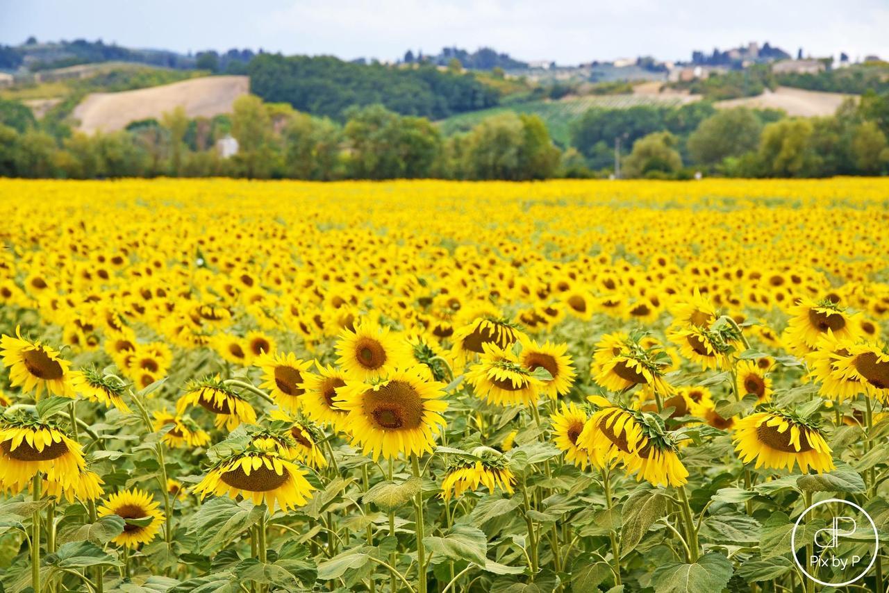 Agriturismo Tre Madonne มอนเตริจโจนี ภายนอก รูปภาพ